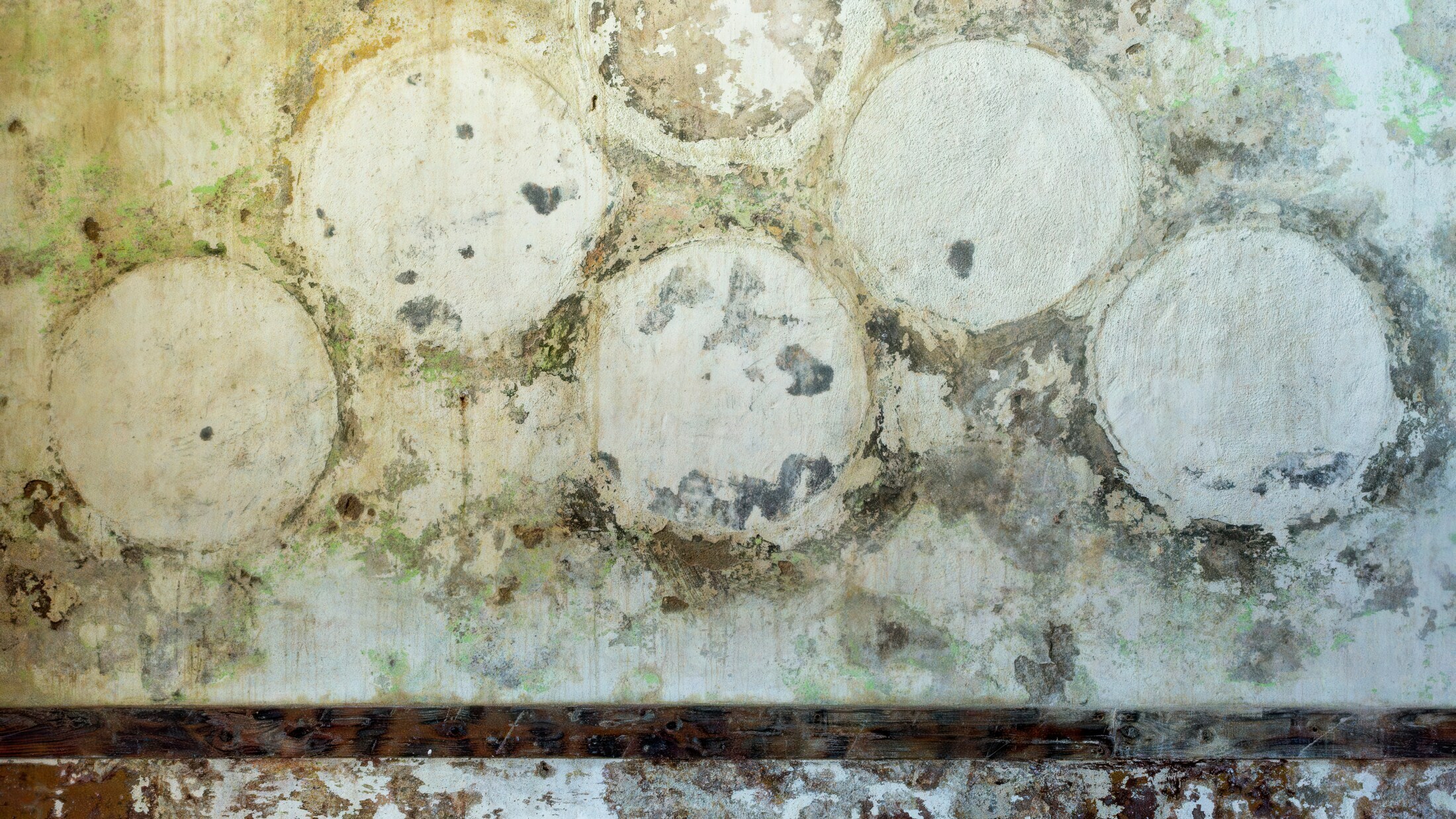 Titre Service (panneau bleu)