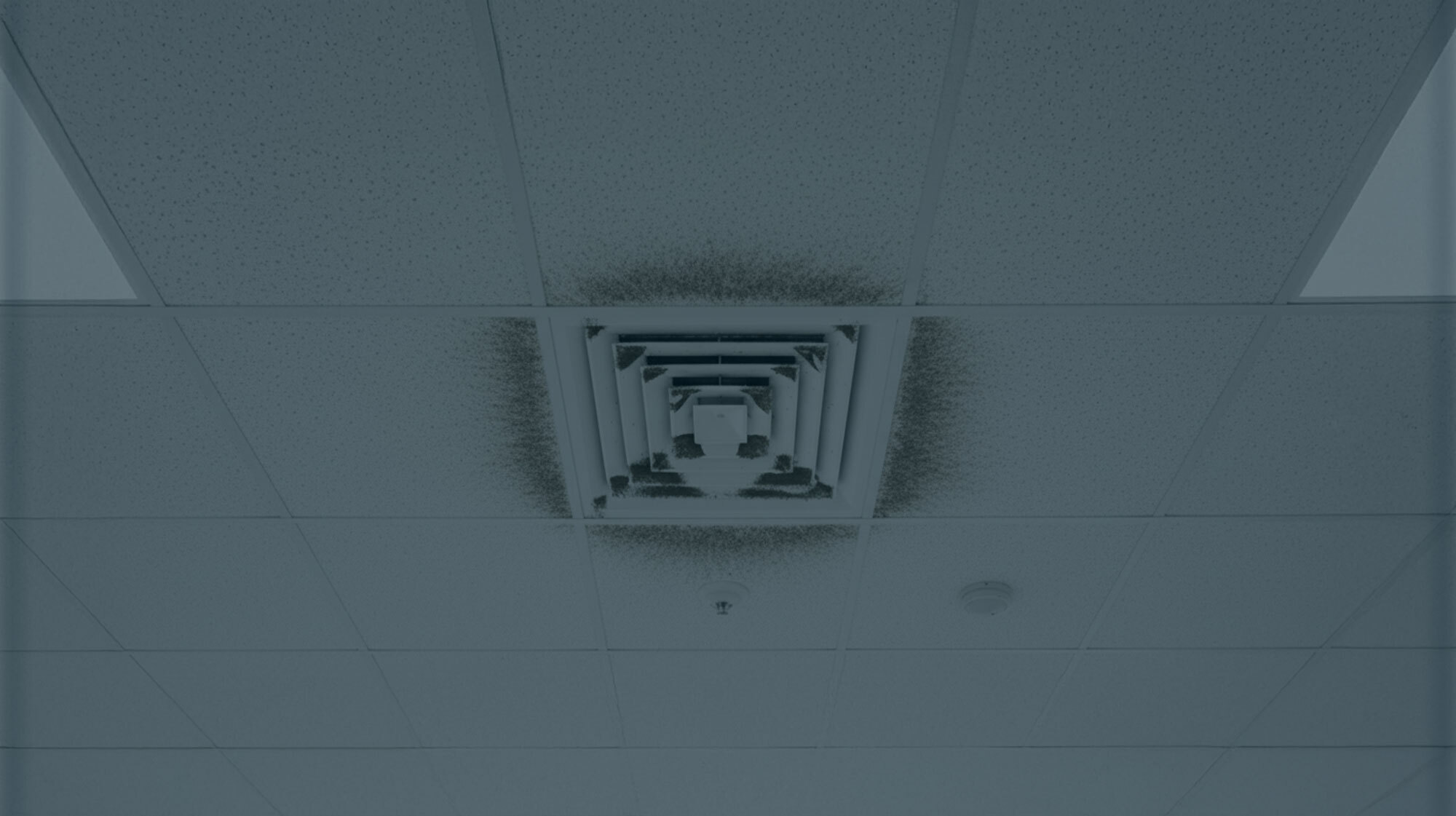 Copie - Entête Simple - Articles